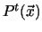 $P^t(\vec{x})$